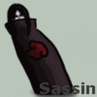Sassin
