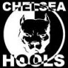 Chelsea_Hools
