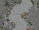 kalupuir.PNG