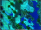aquantis3.png