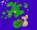 Testeria.png
