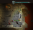 corpseboy.png