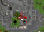 dragon-cover.png