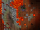 361626273_652906000196073_8912587051943816464_n.png