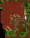 Tavern2.gif