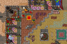 zanderkakaa.png