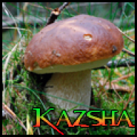 Kazsha
