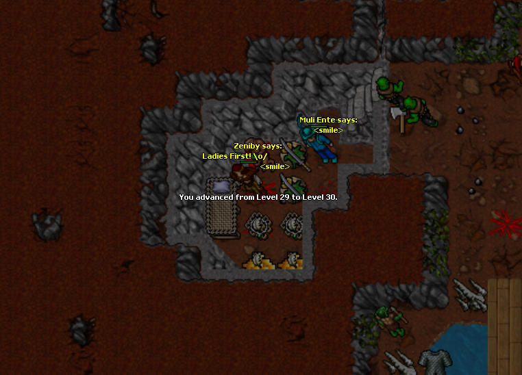 30lvl.png