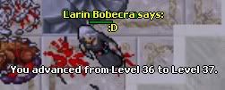 bobek37.jpg