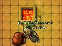 bobek1-1.jpg