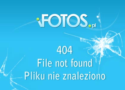 beztytulu_wwwpha.jpg