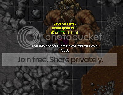 tata300.png