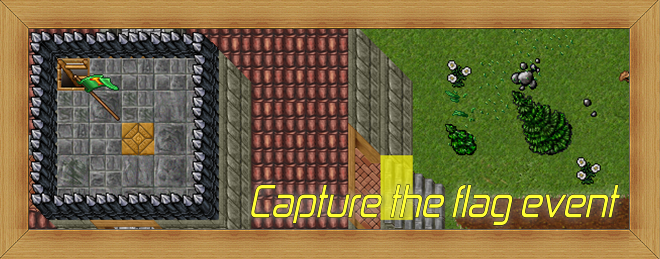 CAPTURE-THE-FLAG-GOTOWE.png
