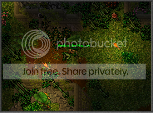 jungletown.png