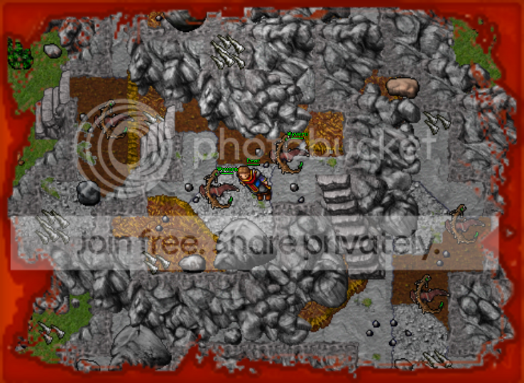 nivir11.png