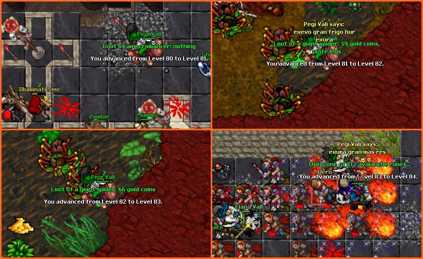 6Ydyale.jpg