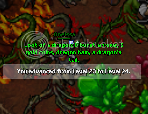 ss4-4.png