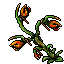 Toxic_Plant.gif